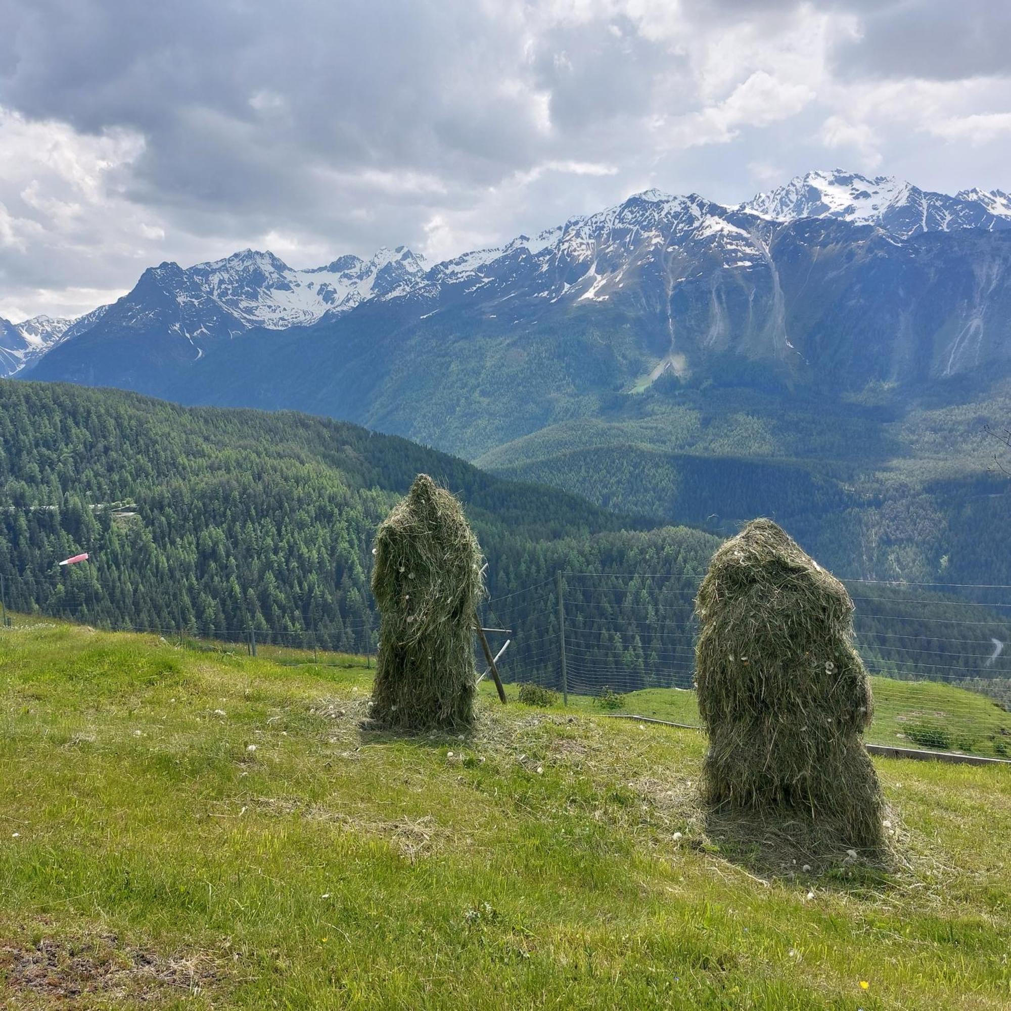 Bichlhof Lägenhet Niederthai Exteriör bild